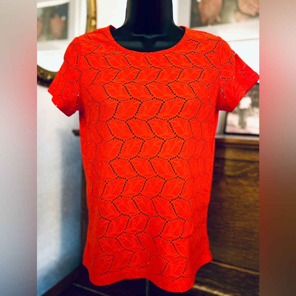 Jacquline de Yong Elegant Red Lace Short Sleeve Top